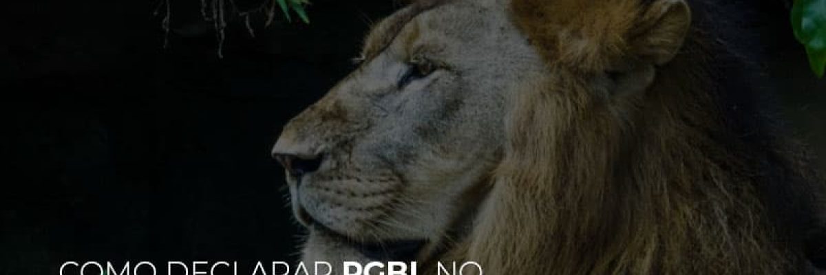 ir2020:como-declarar-pgbl-no-imposto-de-renda