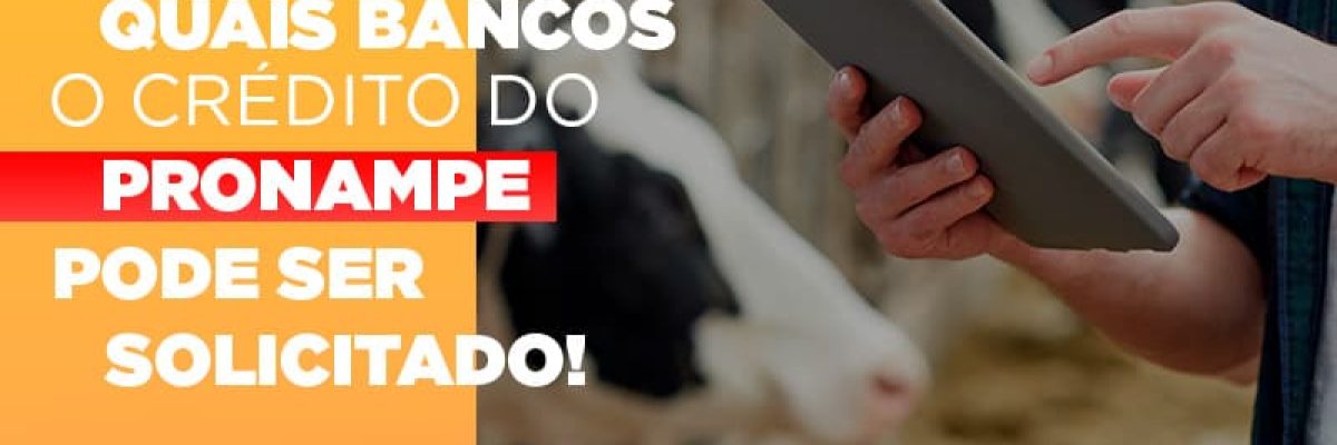 confira-em-quais-bancos-o-credito-pronampe-ja-pode-ser-solicitado